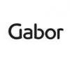  Gabor
