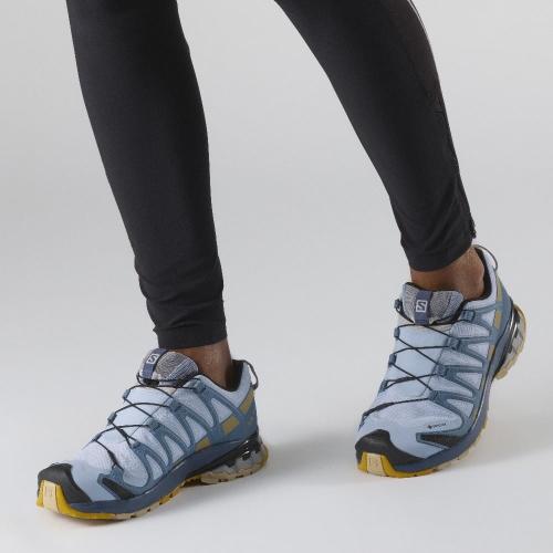 SALOMON XA Pro 3D v8 GTX Goretex  L41118300 