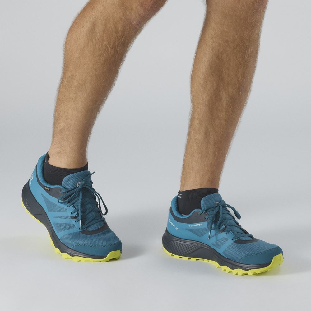 SALOMON Trailster 2 GTX Goretex  L40963700 