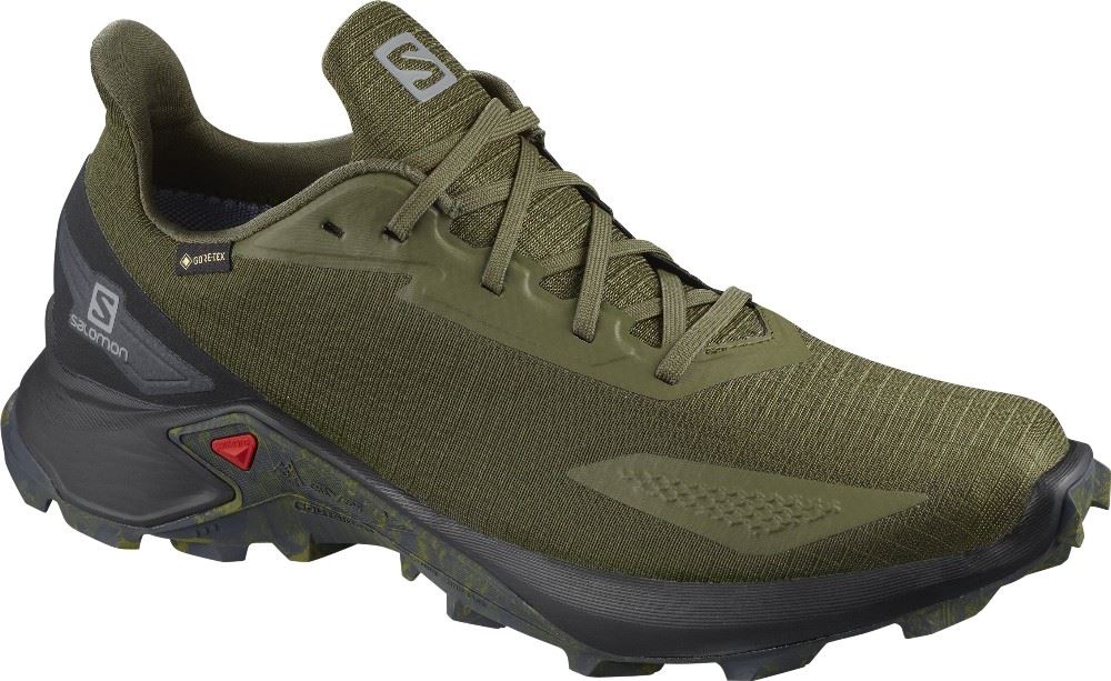 Salomon Alphacross Blast GTX Goretex olive L41105800 8,5 | olive | 