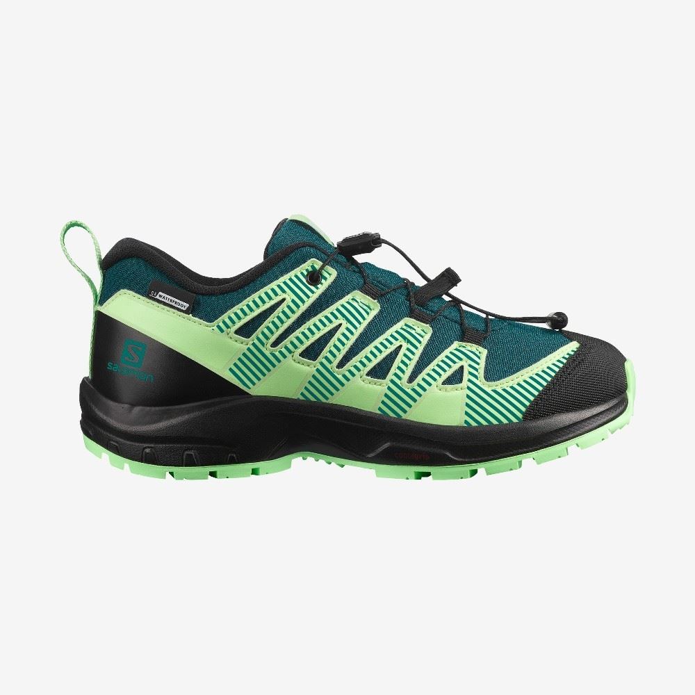 Salomon XA PRO V8 CLIMASALOMON™ WATERPROOF  L41434500 