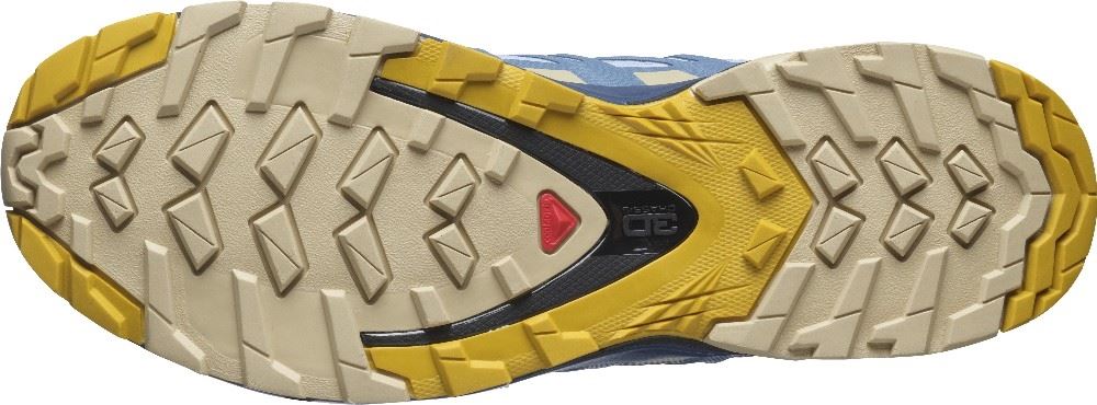 SALOMON XA Pro 3D v8 GTX Goretex  L41118300 