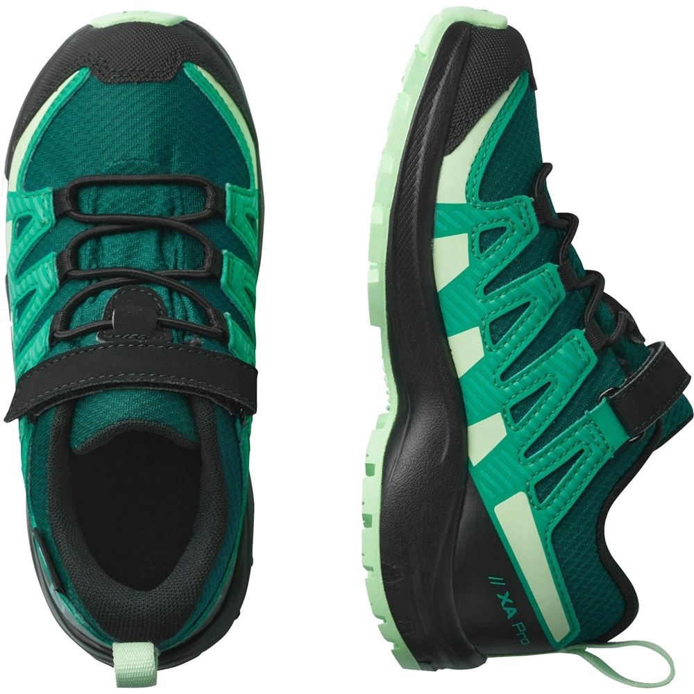 L41436400 26 | teal/black | 