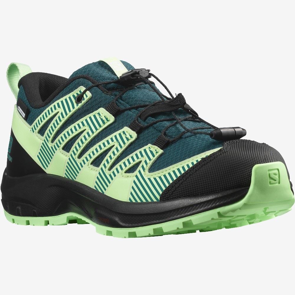 Salomon XA PRO V8 CLIMASALOMON™ WATERPROOF  L41434500 