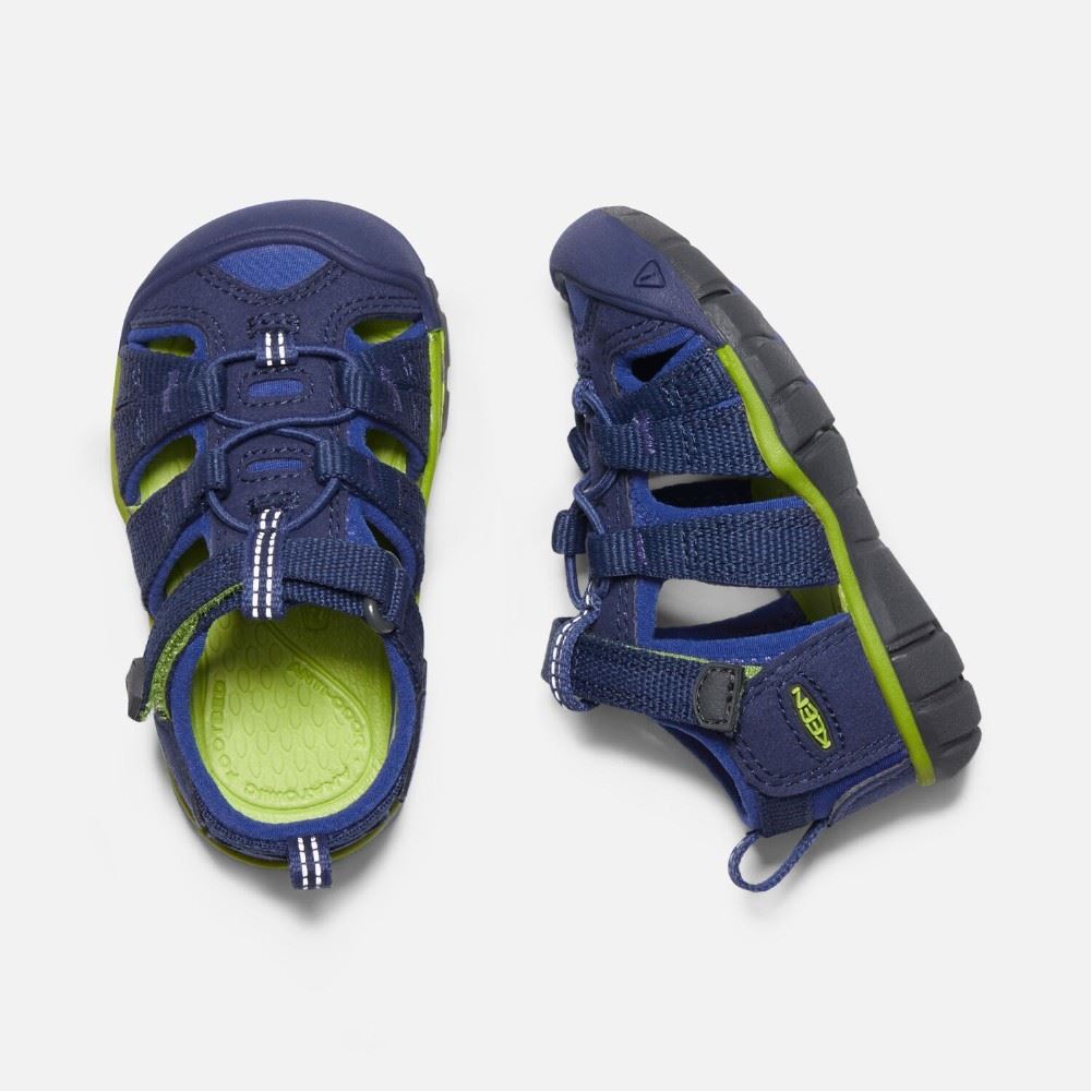 1022939 21 | blue | 