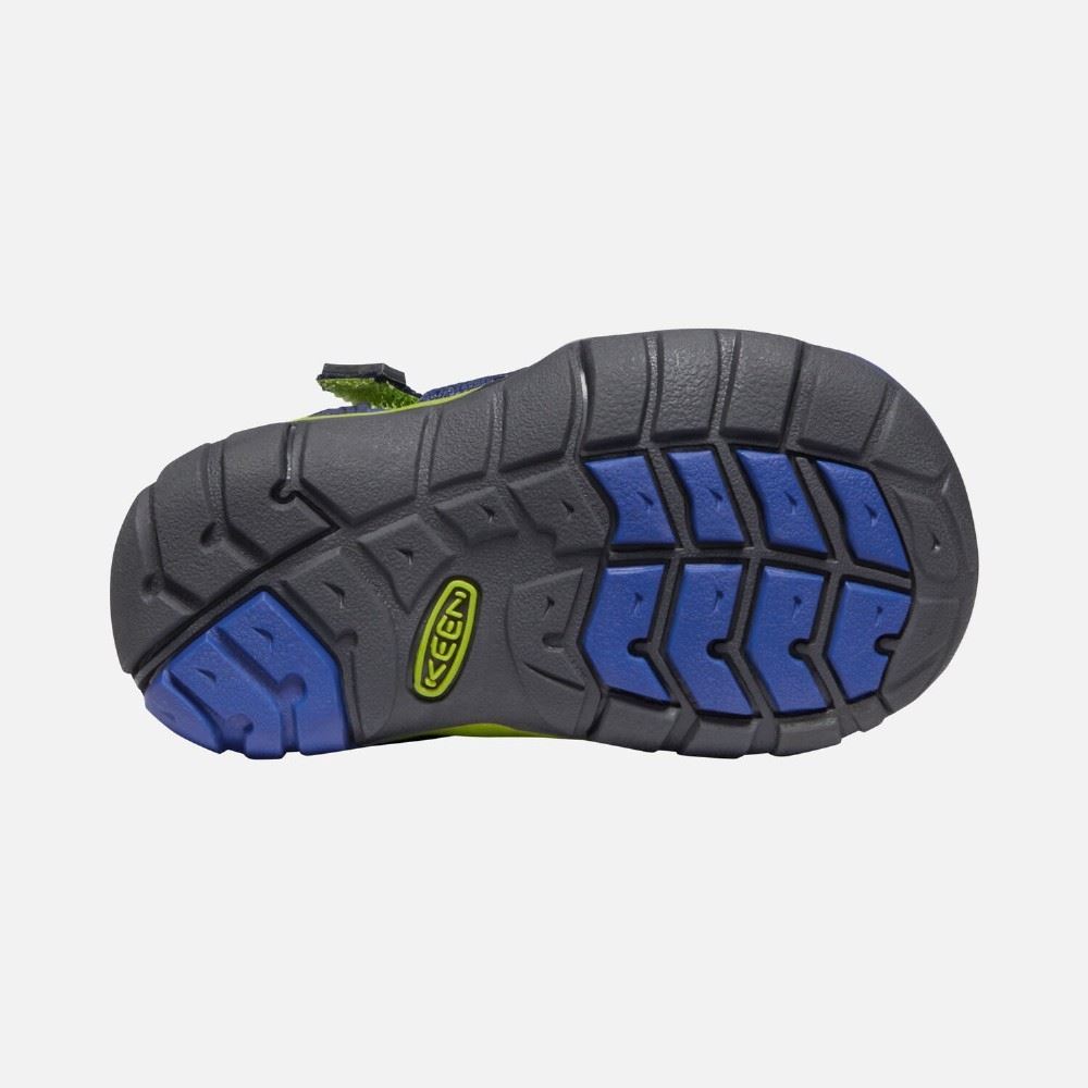 1022939 21 | blue | 