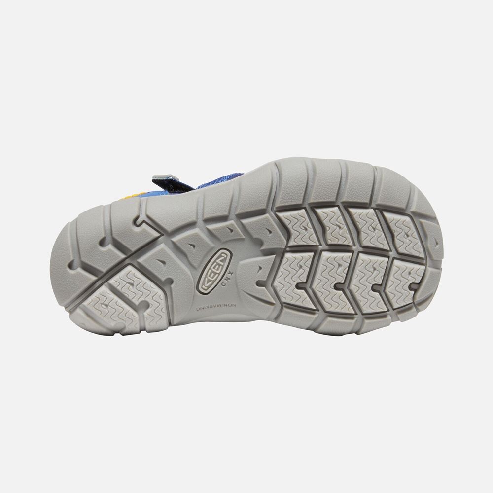 Keen Seacamp II CNX Sandale S22 1026316 28 | cobalt/blue | 
