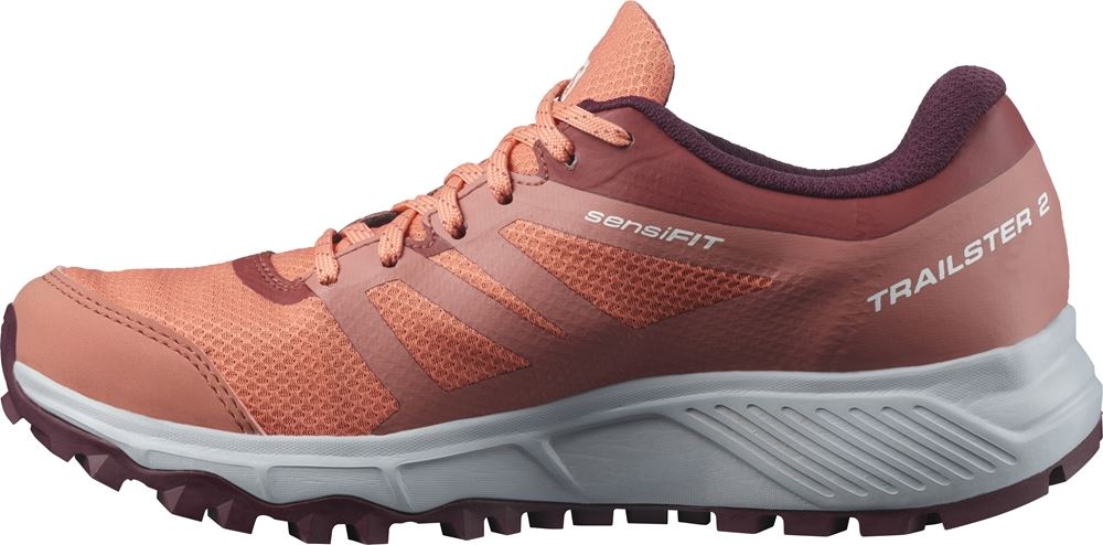SALOMON TRAILSTER 2 GTX W - L41296400 - Trailrunning L41296400 