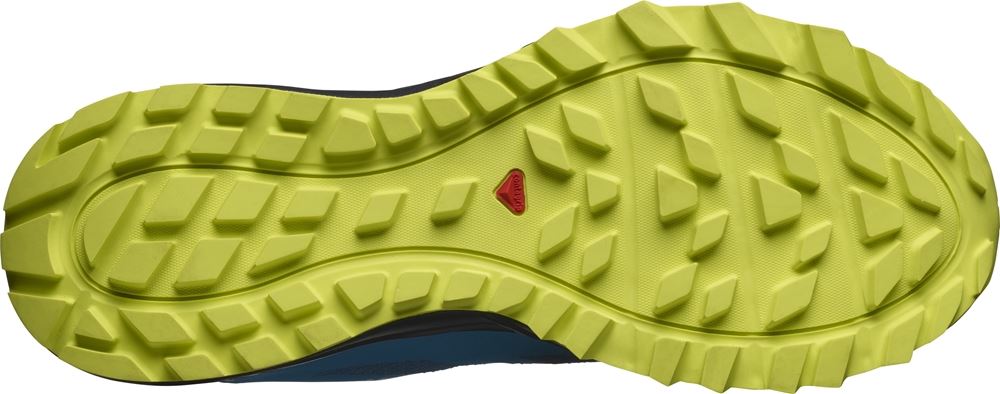 SALOMON Trailster 2 GTX Goretex  L40963700 