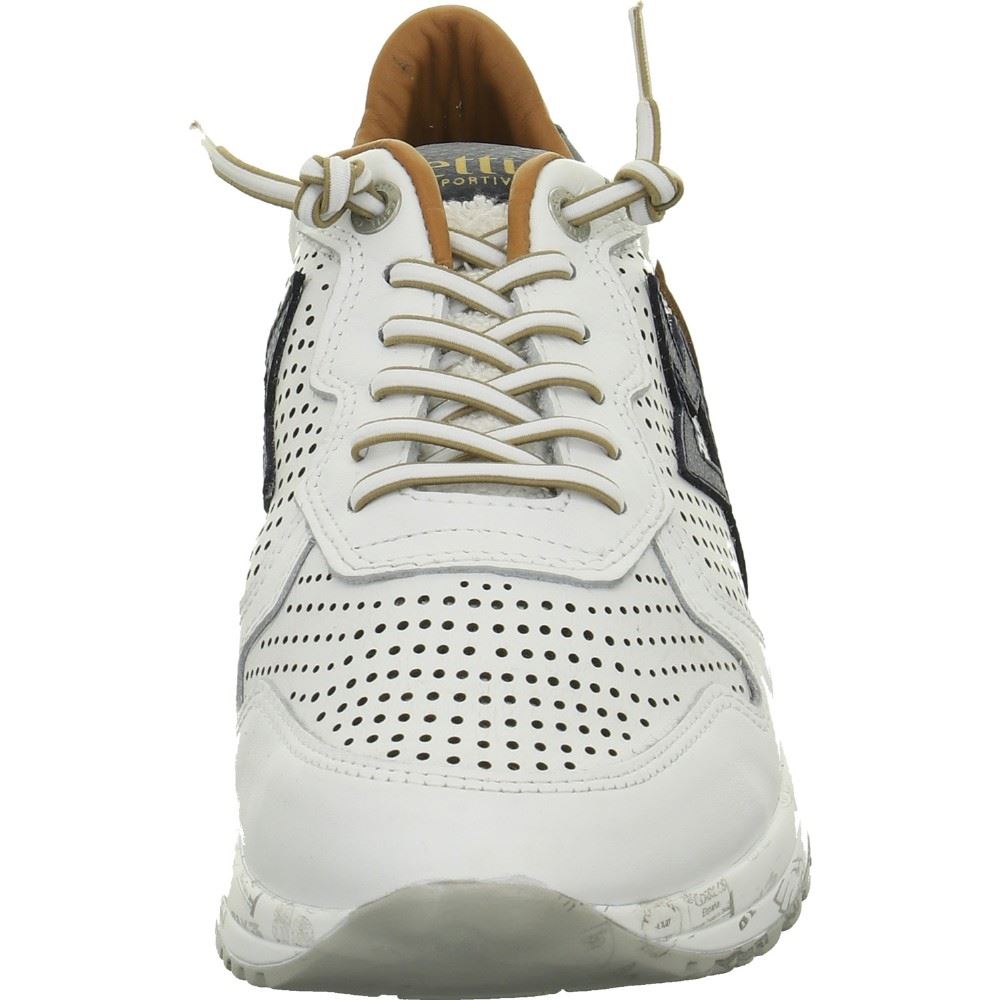 Cetti Sneaker weiß S12 C1287 43 | sweet white | 