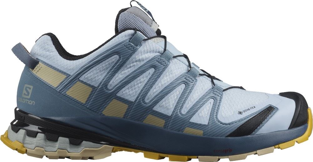 SALOMON XA Pro 3D v8 GTX Goretex  L41118300 