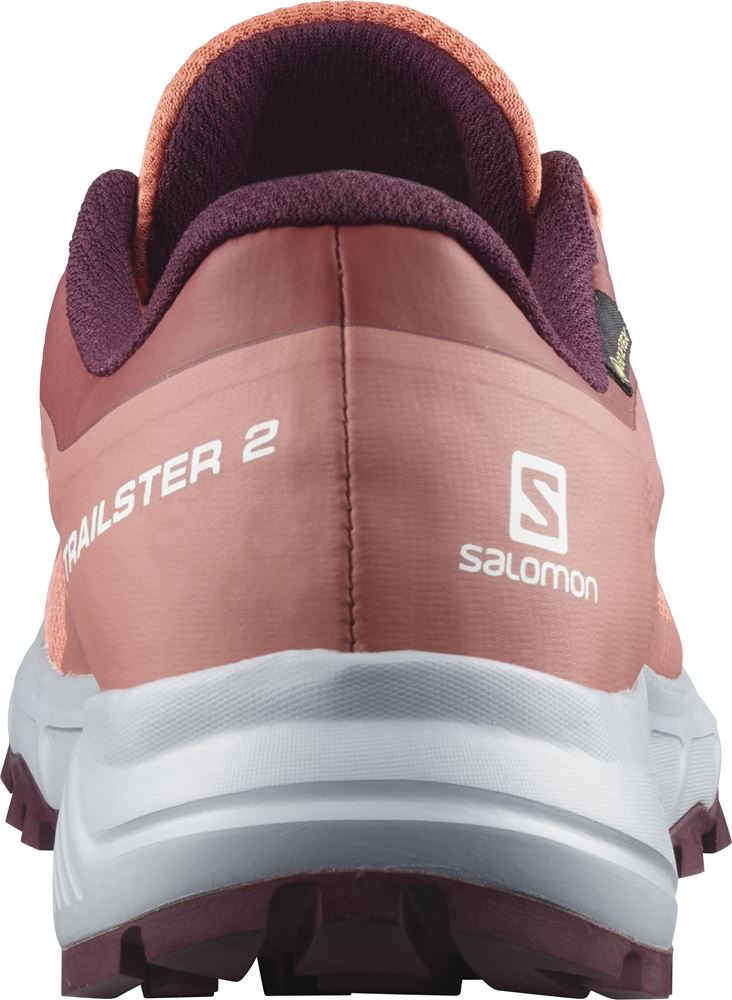 SALOMON TRAILSTER 2 GTX W - L41296400 - Trailrunning L41296400 