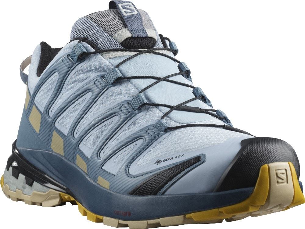 SALOMON XA Pro 3D v8 GTX Goretex  L41118300 